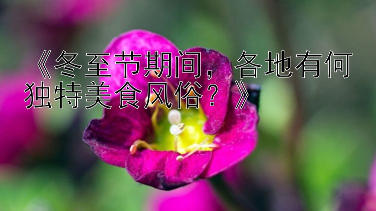 《冬至节期间，各地有何独特美食风俗？》