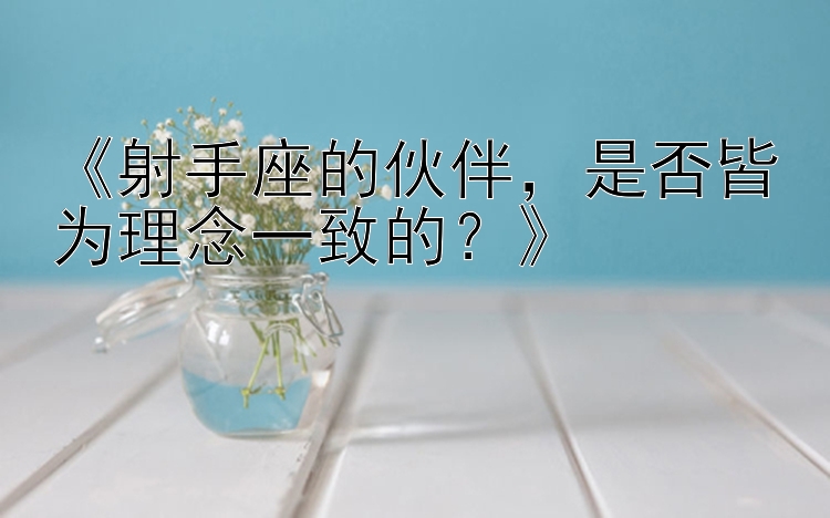 《射手座的伙伴，是否皆为理念一致的？》