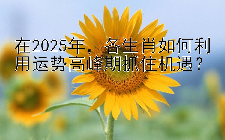 在2025年，各生肖如何利用运势高峰期抓住机遇？