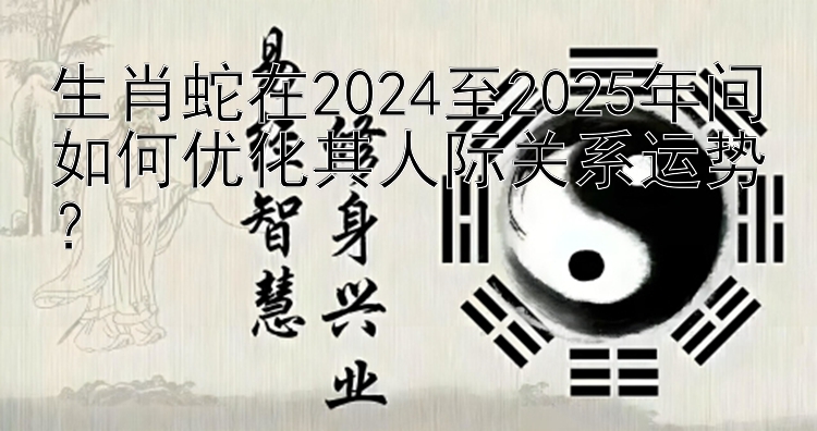 生肖蛇在2024至2025年间如何优化其人际关系运势？