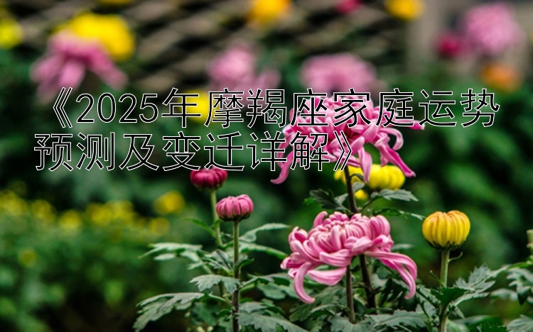 《2025年摩羯座家庭运势预测及变迁详解》