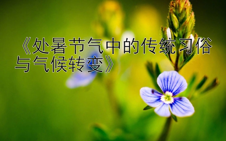 《处暑节气中的传统习俗与气候转变》