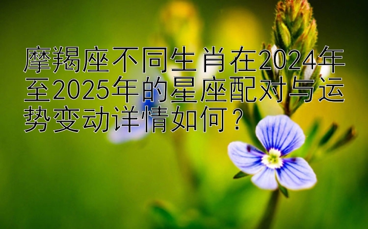 摩羯座不同生肖在2024年至2025年的星座配对与运势变动详情如何？