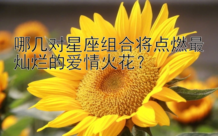 哪几对星座组合将点燃最灿烂的爱情火花？