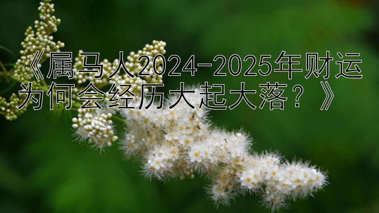 《属马人2024-2025年财运为何会经历大起大落？》