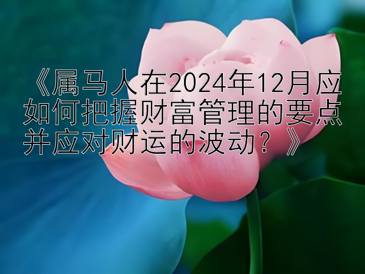 《属马人在2024年12月应如何把握财富管理的要点并应对财运的波动？》