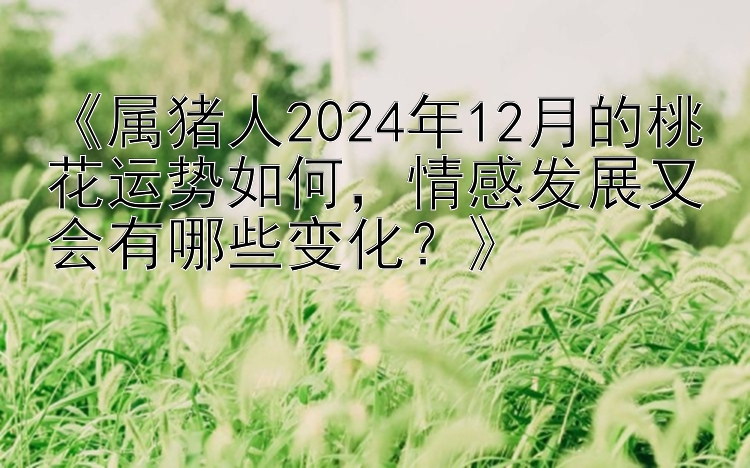 《属猪人2024年12月的桃花运势如何，情感发展又会有哪些变化？》