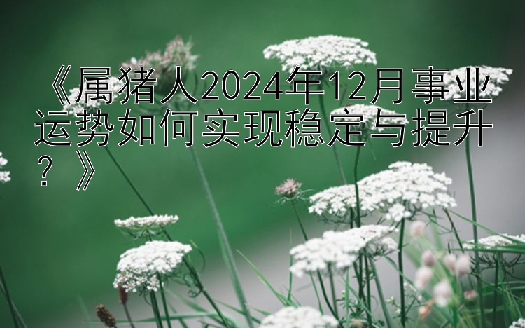 《属猪人2024年12月事业运势如何实现稳定与提升？》