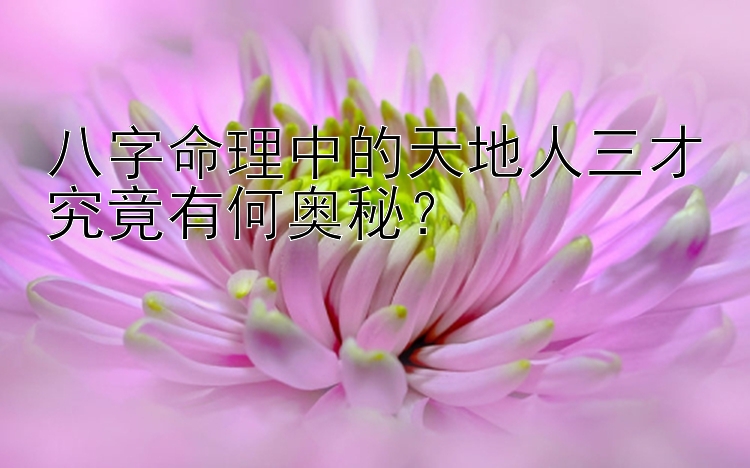 八字命理中的天地人三才究竟有何奥秘？