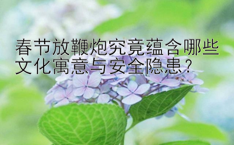 春节放鞭炮究竟蕴含哪些文化寓意与安全隐患？