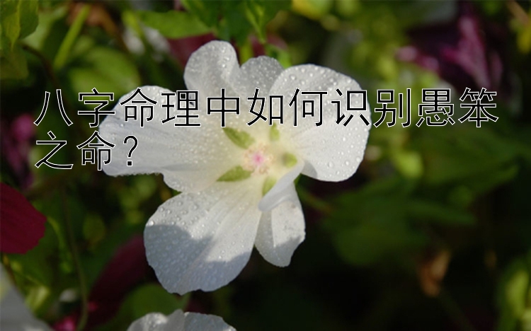 八字命理中如何识别愚笨之命？