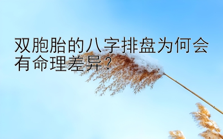 双胞胎的八字排盘为何会有命理差异？