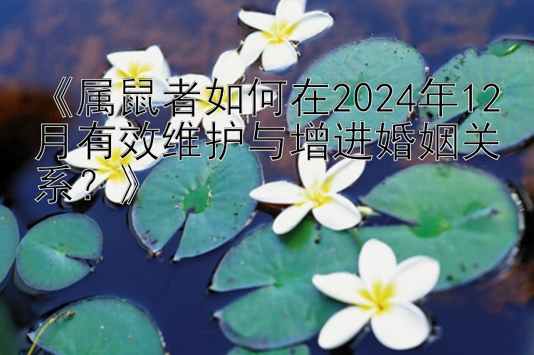 《属鼠者如何在2024年12月有效维护与增进婚姻关系？》