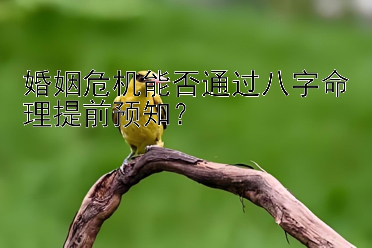 婚姻危机能否通过八字命理提前预知？