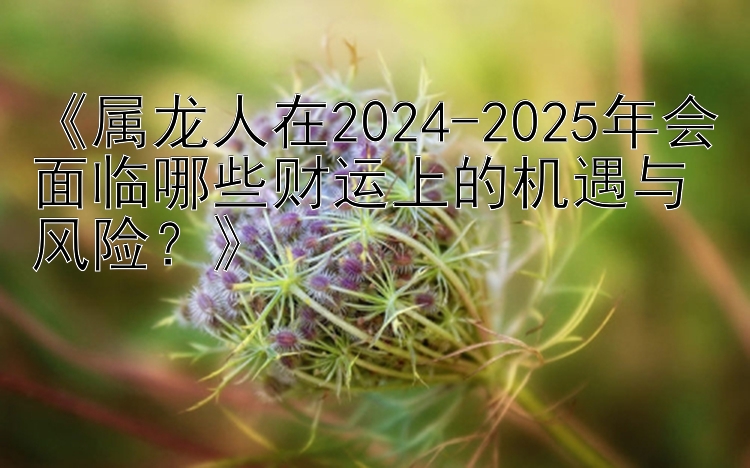 《属龙人在2024-2025年会面临哪些财运上的机遇与风险？》