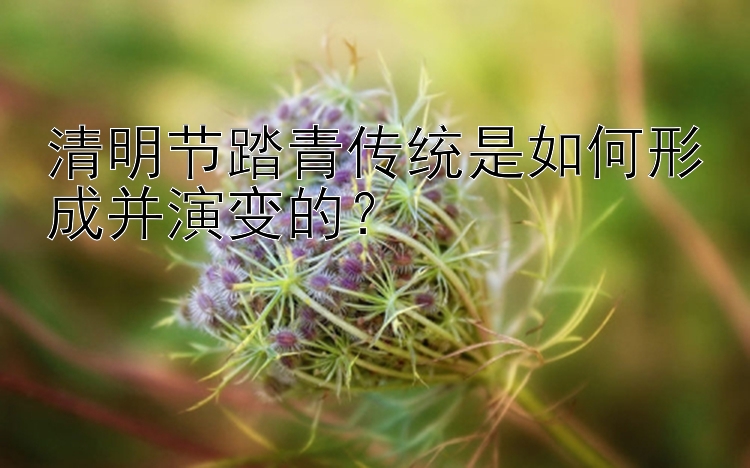 清明节踏青传统是如何形成并演变的？