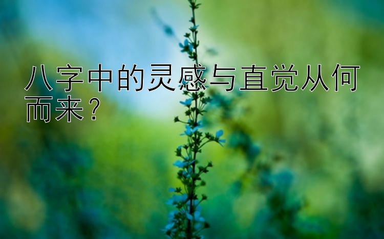 八字中的灵感与直觉从何而来？