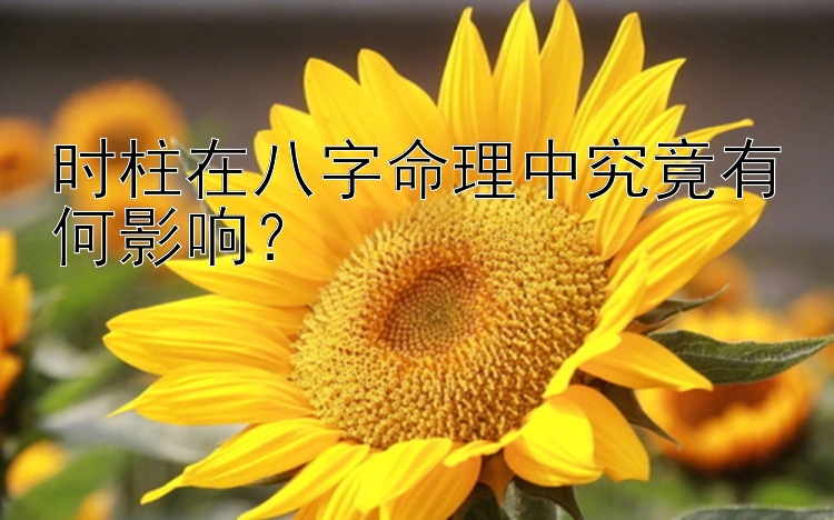 时柱在八字命理中究竟有何影响？