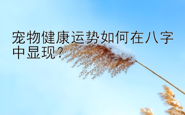 宠物健康运势如何在八字中显现？