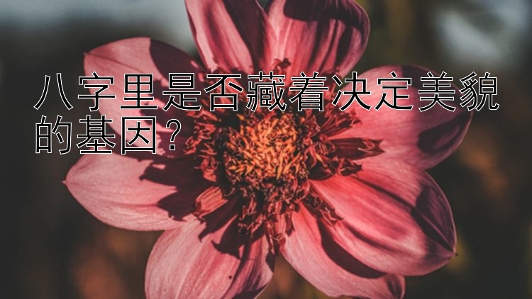 八字里是否藏着决定美貌的基因？