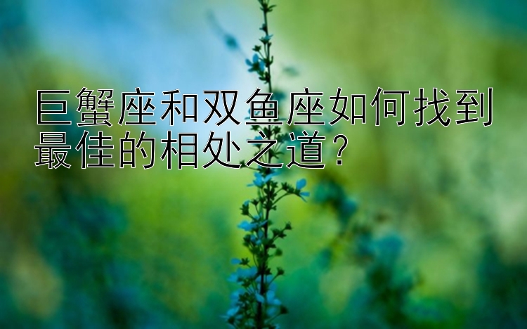 巨蟹座和双鱼座如何找到最佳的相处之道？