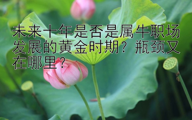 未来十年是否是属牛职场发展的黄金时期？瓶颈又在哪里？