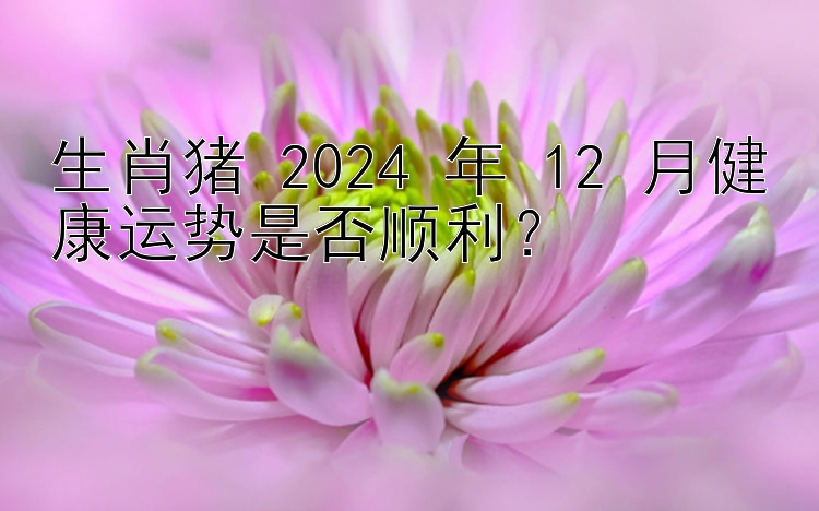 生肖猪 2024 年 12 月健康运势是否顺利？