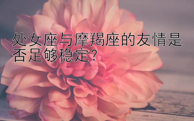 处女座与摩羯座的友情是否足够稳定？