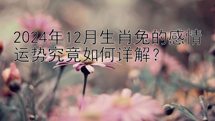 2024年12月生肖兔的感情运势究竟如何详解？