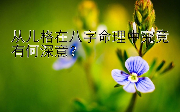 从儿格在八字命理中究竟有何深意？