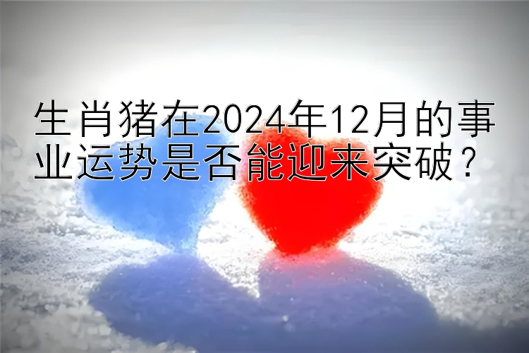 生肖猪在2024年12月的事业运势是否能迎来突破？