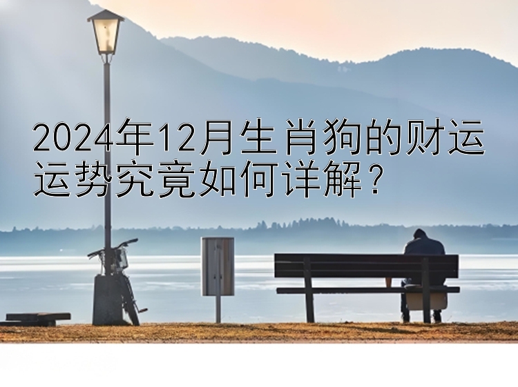 2024年12月生肖狗的财运运势究竟如何详解？