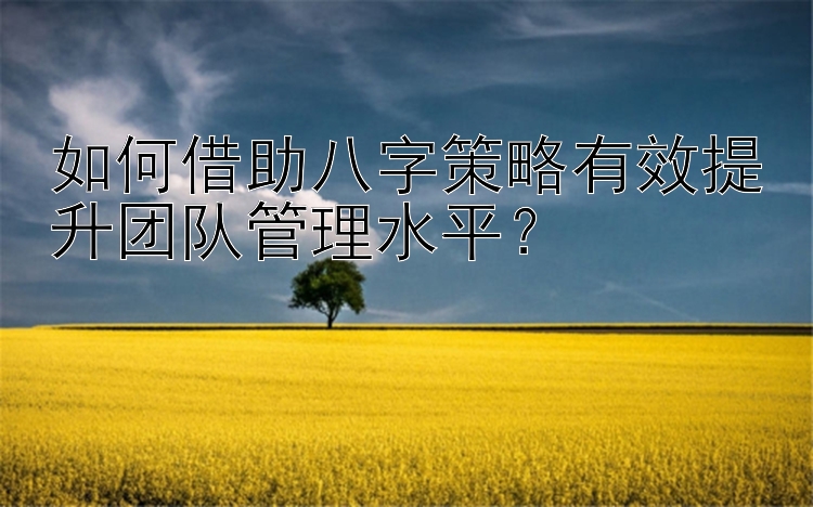 如何借助八字策略有效提升团队管理水平？