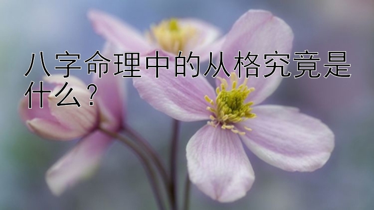 八字命理中的从格究竟是什么？