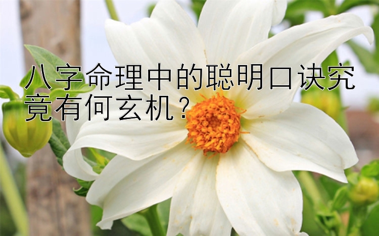 八字命理中的聪明口诀究竟有何玄机？