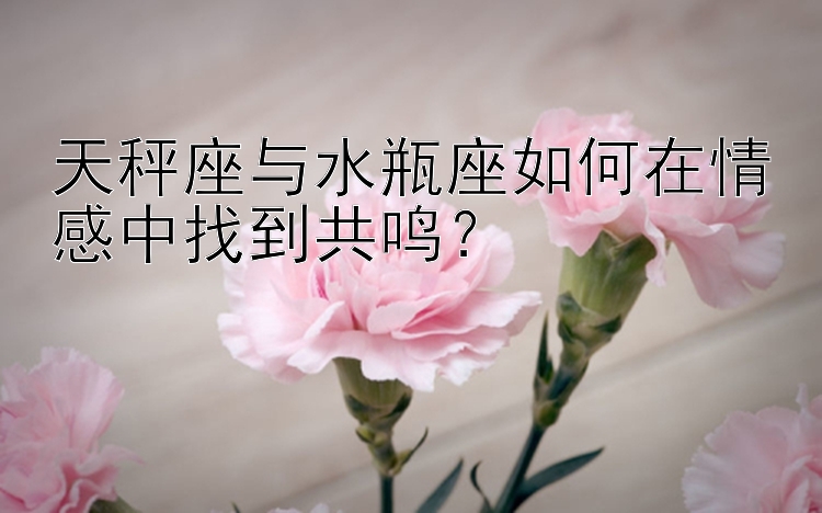 天秤座与水瓶座如何在情感中找到共鸣？