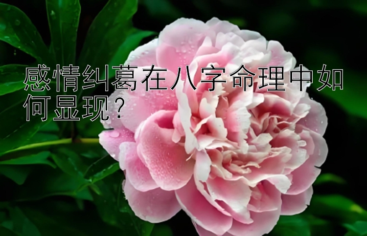 感情纠葛在八字命理中如何显现？