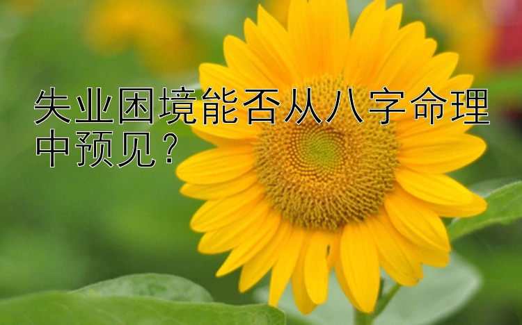 失业困境能否从八字命理中预见？