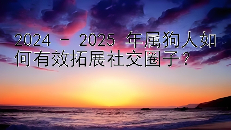 2024 - 2025 年属狗人如何有效拓展社交圈子？