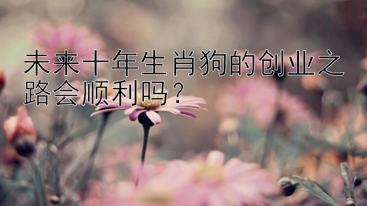 未来十年生肖狗的创业之路会顺利吗？