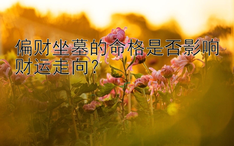 偏财坐墓的命格是否影响财运走向？