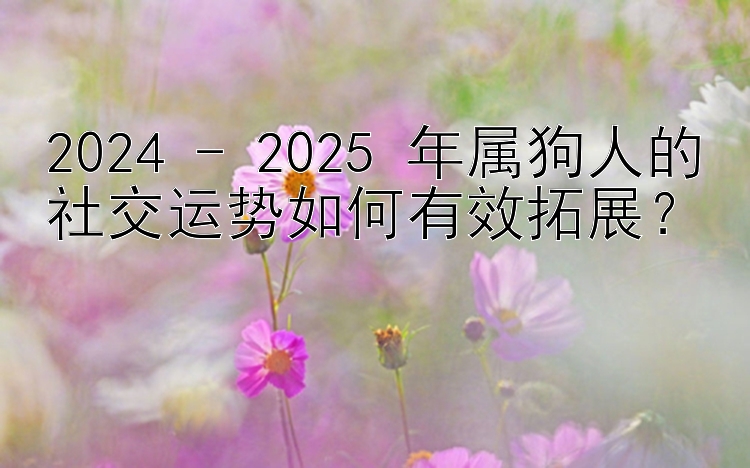 2024 - 2025 年属狗人的社交运势如何有效拓展？