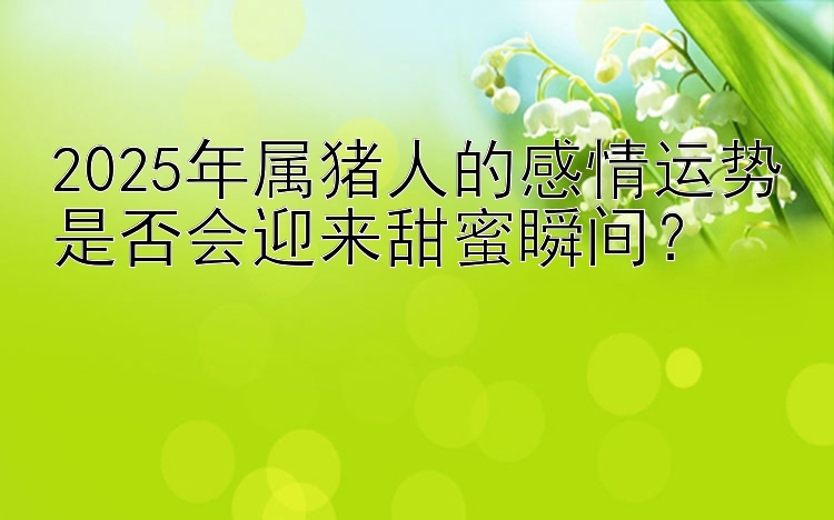 2025年属猪人的感情运势是否会迎来甜蜜瞬间？