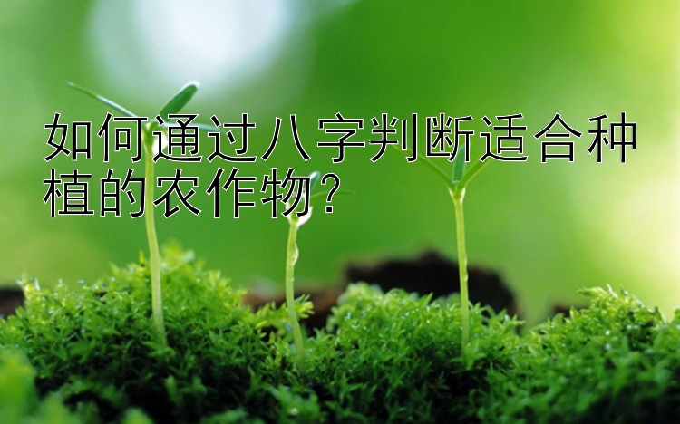 如何通过八字判断适合种植的农作物？